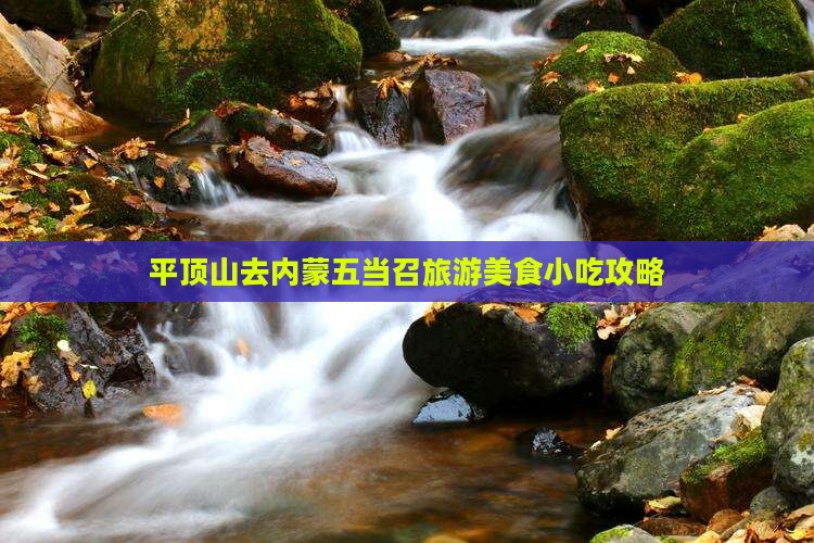 平顶山去内蒙五当召旅游小吃