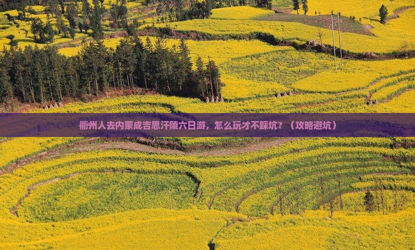 衢州去内蒙成吉思汗陵六日游