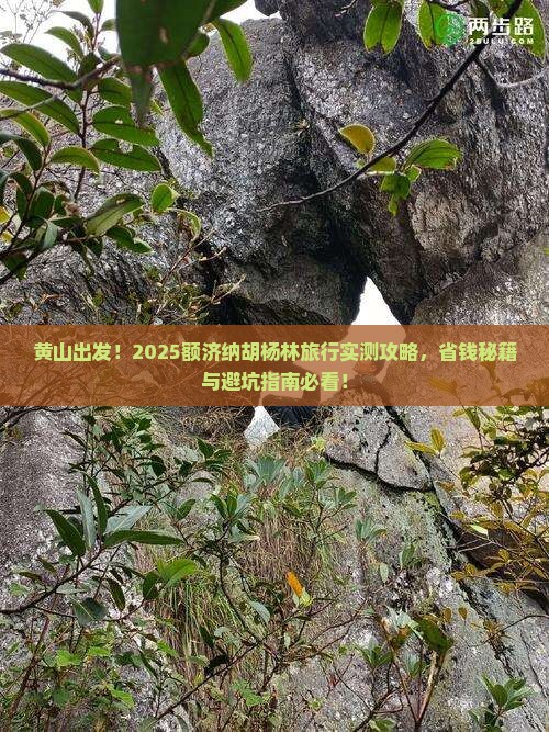 黄山去内蒙额济纳胡杨林旅游