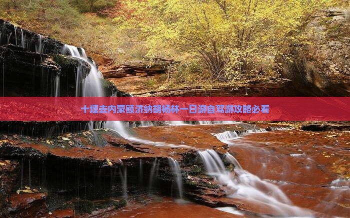 十堰去内蒙额济纳胡杨林一日游