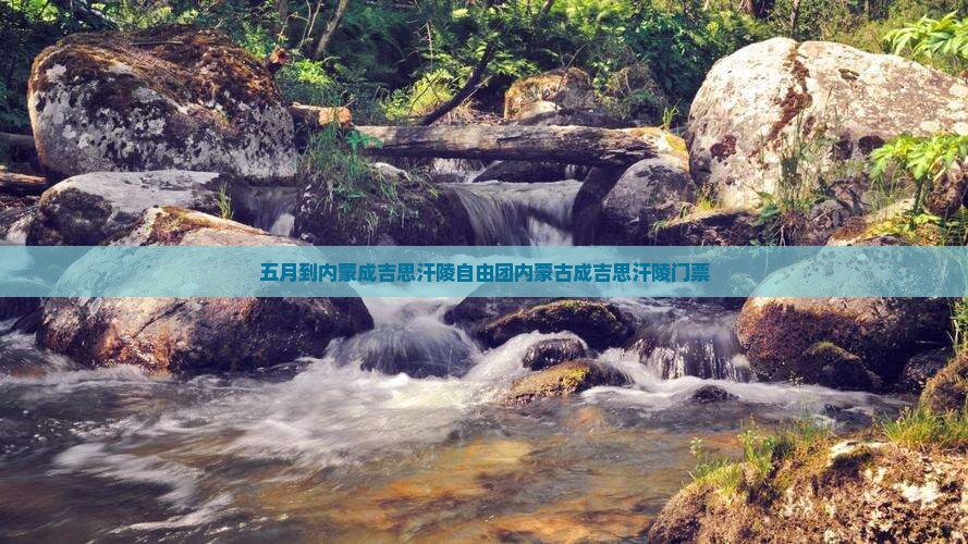 五月到内蒙成吉思汗陵自由团
