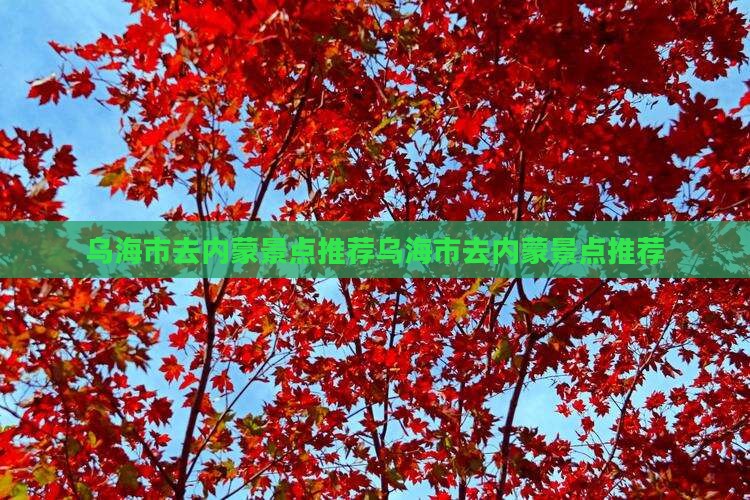 乌海市去内蒙景点