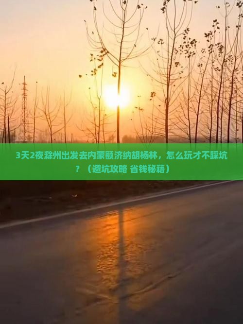 滁州去内蒙额济纳胡杨林旅行社