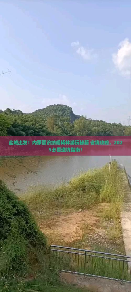 盐城到内蒙额济纳胡杨林哪里玩