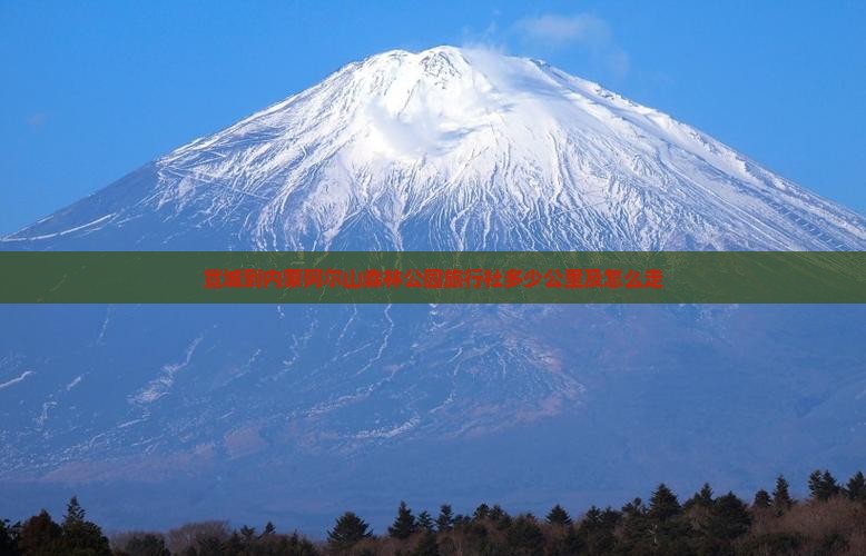 宣城到内蒙阿尔山国家森林公园旅行社