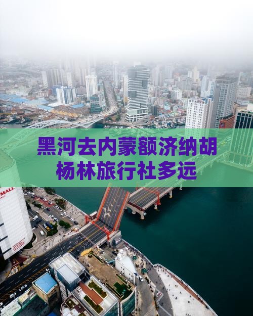 黑河去内蒙额济纳胡杨林旅行社
