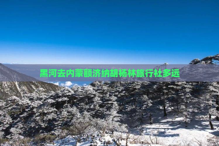 黑河去内蒙额济纳胡杨林旅行社