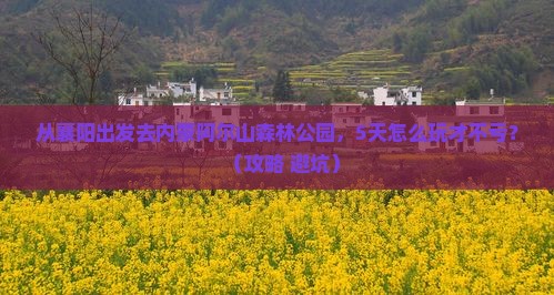 襄阳去内蒙阿尔山国家森林公园景点
