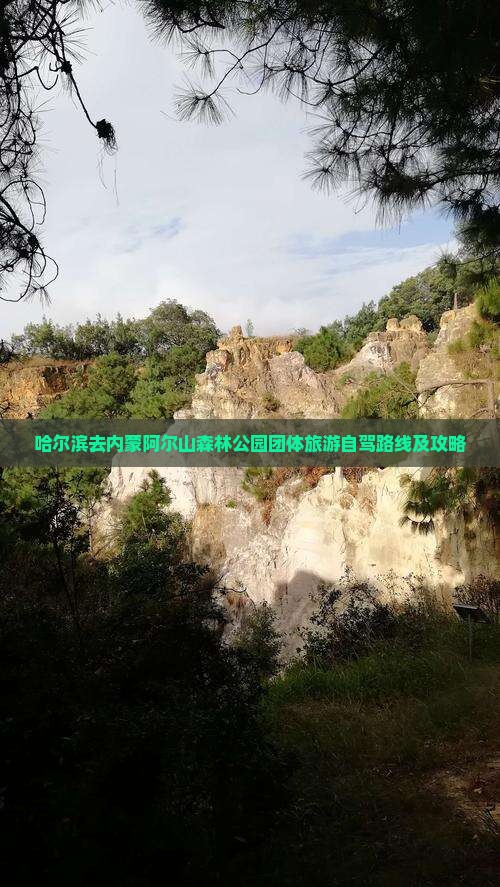 哈尔滨去内蒙阿尔山国家森林公园团体旅游
