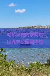 哈尔滨去内蒙阿尔山国家森林公园团体旅游