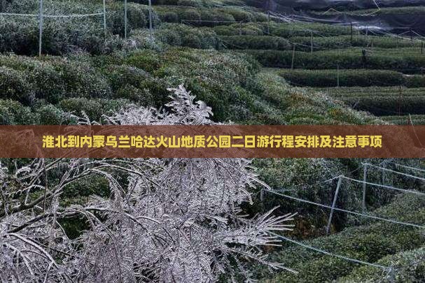 淮北到内蒙乌兰哈达火山地质公园二日游