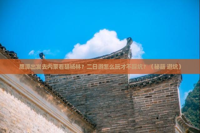 鹰潭到内蒙额济纳胡杨林二日游