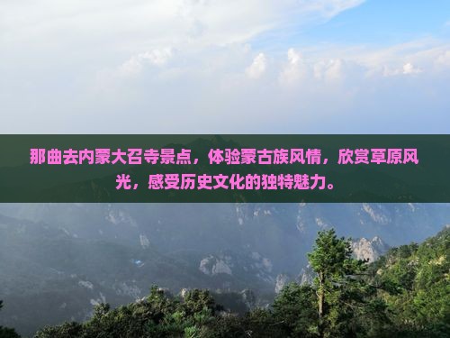 那曲去内蒙大召寺景点