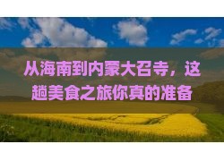 海南到内蒙大召寺旅游小吃