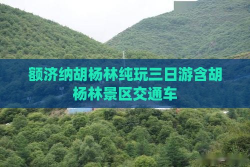 额济纳胡杨林纯玩三日游含胡杨林景区交通车