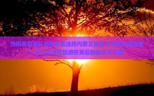为何岳阳团队游客热衷选择内蒙五当召作为旅游目的地？探讨五当召旅游热背后的痛点与机遇！