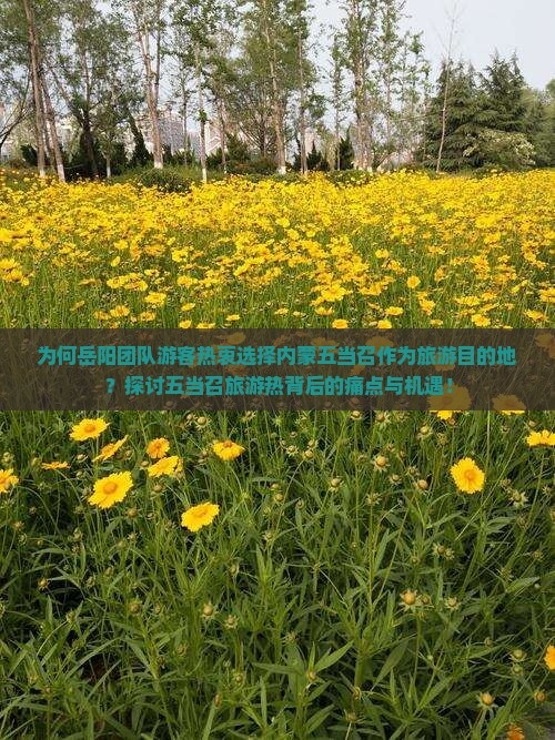 为何岳阳团队游客热衷选择内蒙五当召作为旅游目的地？探讨五当召旅游热背后的痛点与机遇！