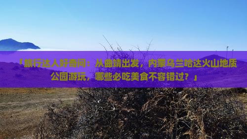 「旅行达人好奇问：从曲靖出发，内蒙乌兰哈达火山地质公园游玩，哪些必吃美食不容错过？」