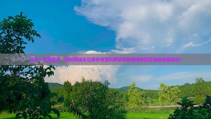 作为一名摄影师，如何用镜头记录忻州至内蒙额济纳胡杨林四日游的绝美风光？