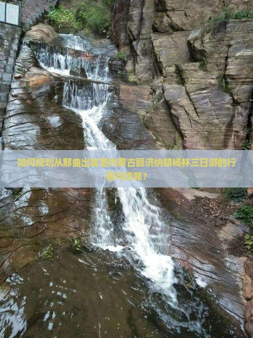 如何规划从那曲出发至内蒙古额济纳胡杨林三日游的行程与攻略？