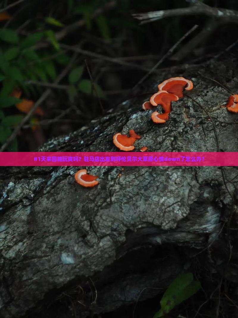 #1天来回能玩爽吗？驻马店出发到呼伦贝尔大草原心情down了怎么办？