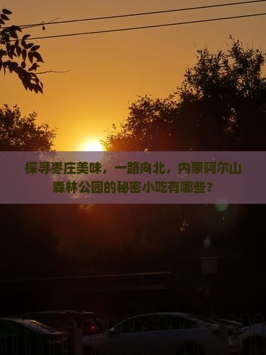 探寻枣庄美味，一路向北，内蒙阿尔山森林公园的秘密小吃有哪些？