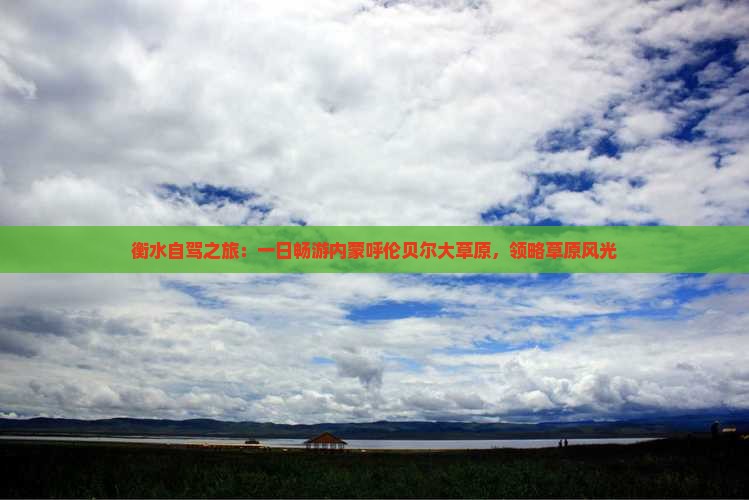 衡水自驾之旅：一日畅游内蒙呼伦贝尔大草原，领略草原风光