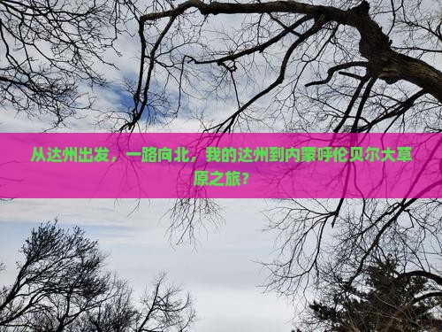 从达州出发，一路向北，我的达州到内蒙呼伦贝尔大草原之旅？