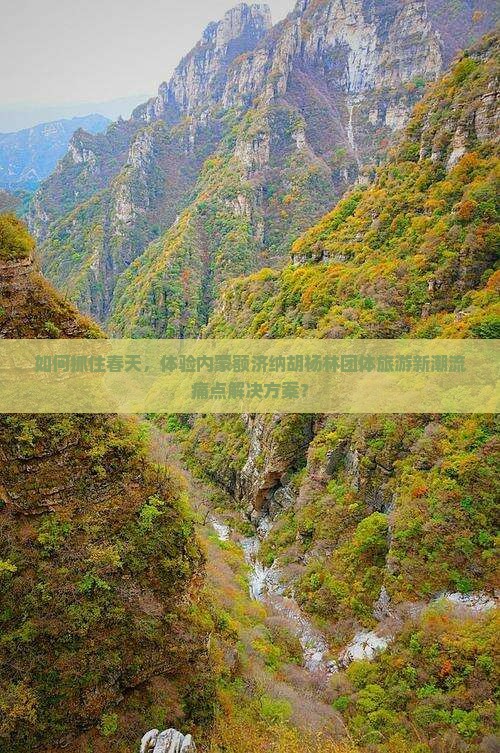 如何抓住春天，体验内蒙额济纳胡杨林团体旅游新潮流痛点解决方案？