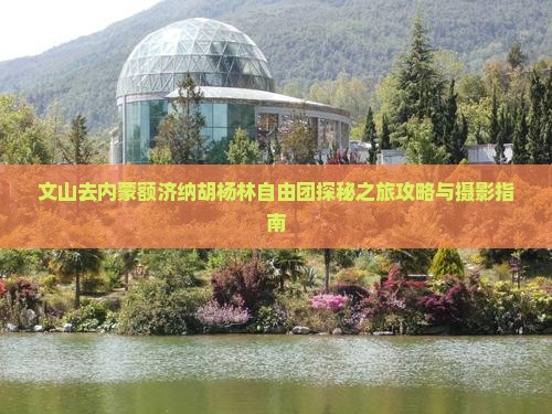 文山去内蒙额济纳胡杨林自由团探秘之旅攻略与摄影指南