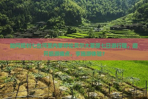 如何规划七台河至内蒙呼伦贝尔大草原七日游行程，避开旅游痛点，享施游体验？