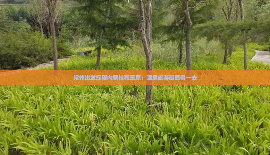 常州出发探秘内蒙拉穆草原：哪里旅游最值得一去