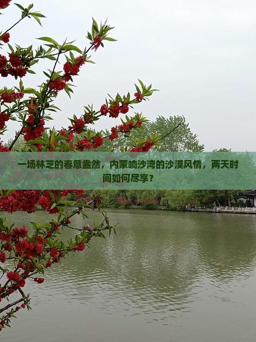 一场林芝的春意盎然，内蒙响沙湾的沙漠风情，两天时间如何尽享？