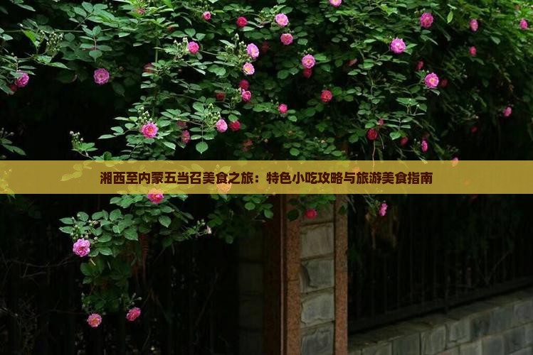 湘西至内蒙五当召美食之旅：特色小吃攻略与旅游美食指南