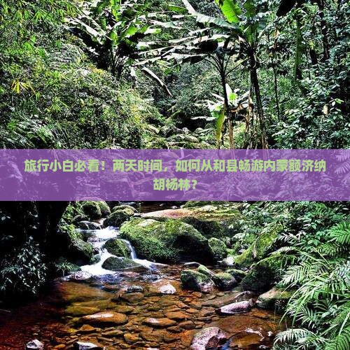 旅行小白必看！两天时间，如何从和县畅游内蒙额济纳胡杨林？