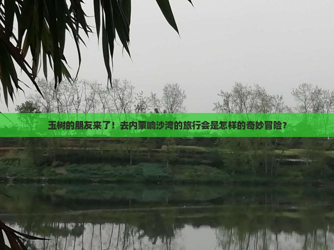 玉树的朋友来了！去内蒙响沙湾的旅行会是怎样的奇妙冒险？