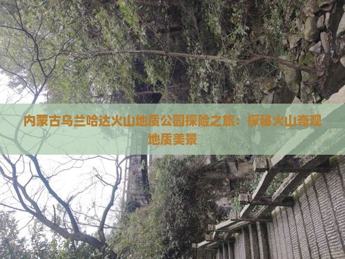 内蒙古乌兰哈达火山地质公园探险之旅：探秘火山奇观地质美景