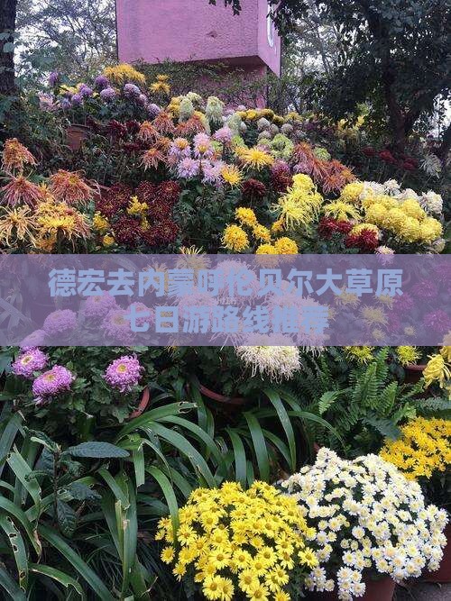 德宏去内蒙呼伦贝尔大草原七日游路线推荐