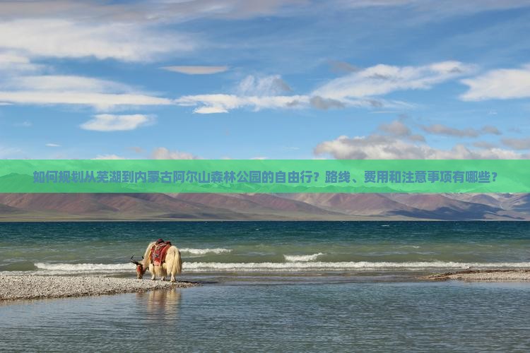如何规划从芜湖到内蒙古阿尔山森林公园的自由行？路线、费用和注意事项有哪些？