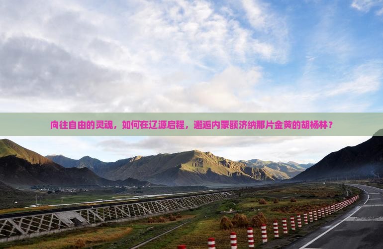 向往自由的灵魂，如何在辽源启程，邂逅内蒙额济纳那片金黄的胡杨林？