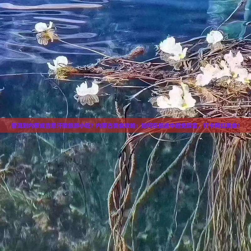 普洱到内蒙成吉思汗陵旅游小吃？内蒙古美食攻略：如何在旅途中避免踩雷，打卡网红美食！