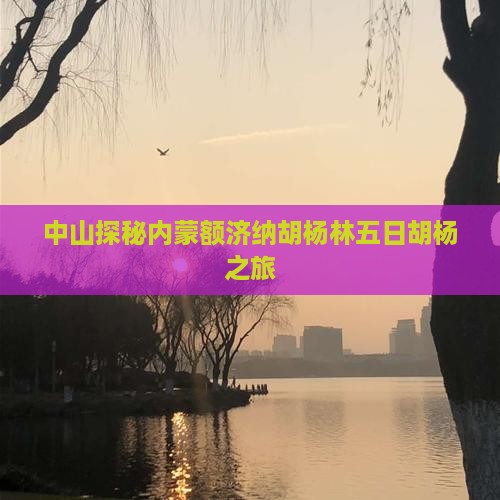 中山探秘内蒙额济纳胡杨林五日胡杨之旅
