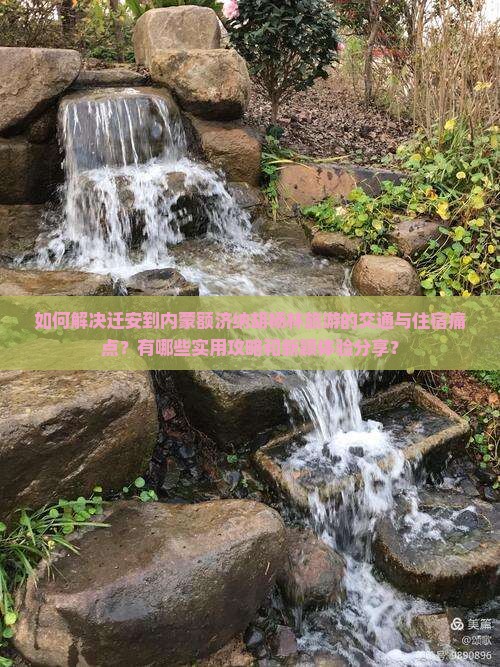 如何解决迁安到内蒙额济纳胡杨林旅游的交通与住宿痛点？有哪些实用攻略和新颖体验分享？