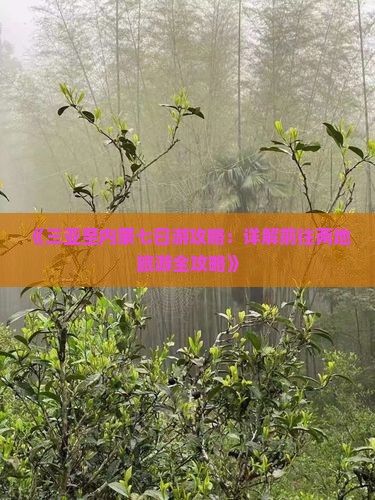 《三亚至内蒙七日游攻略：详解前往两地旅游全攻略》