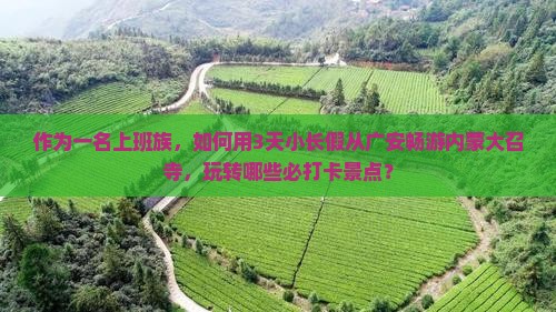 作为一名上班族，如何用3天小长假从广安畅游内蒙大召寺，玩转哪些必打卡景点？
