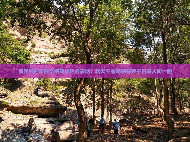南充到内蒙额济纳胡杨林必去地？秋天不看胡杨林等于白来人间一趟
