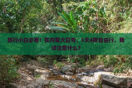 旅行小白必看！在内蒙大召寺，5天4夜自由行，我该注意什么？