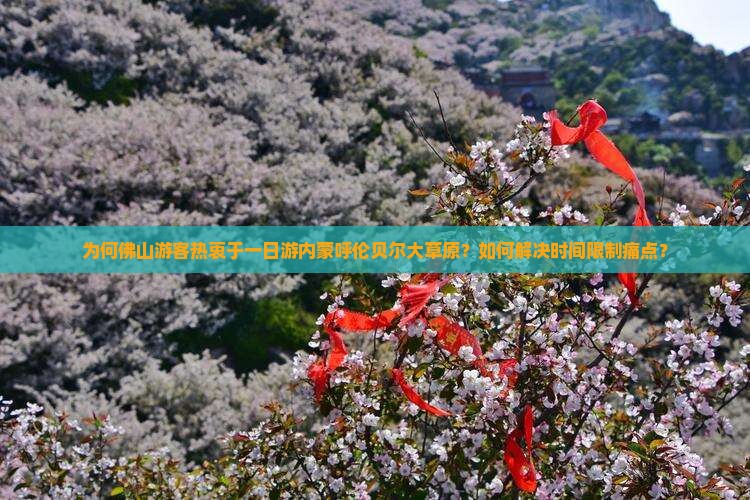 为何佛山游客热衷于一日游内蒙呼伦贝尔大草原？如何解决时间限制痛点？