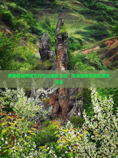 伊春探秘内蒙古阿尔山森林公园：探寻森林深处的绝美景点