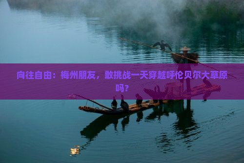 向往自由：梅州朋友，敢挑战一天穿越呼伦贝尔大草原吗？